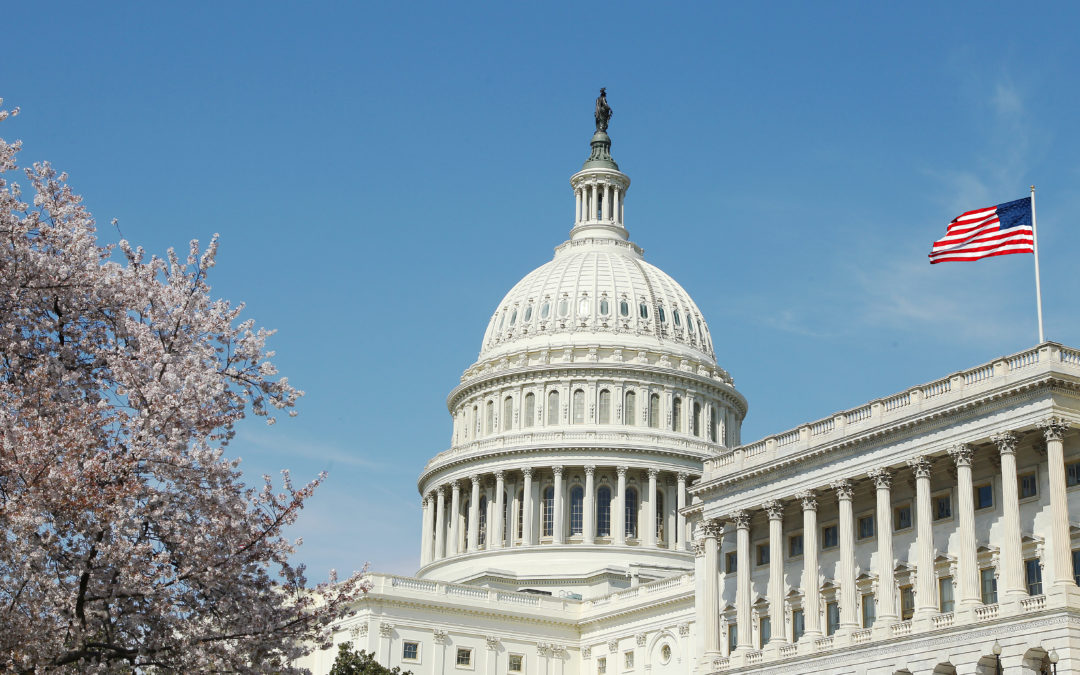 IEI Urges Senate Commerce Committee to Review Existing Laws Governing the Video Marketplace.